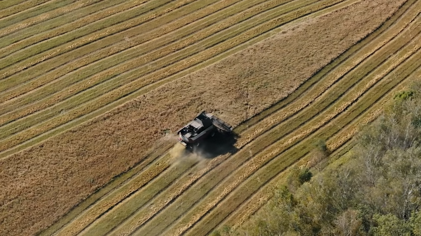 Как производят органическую муку